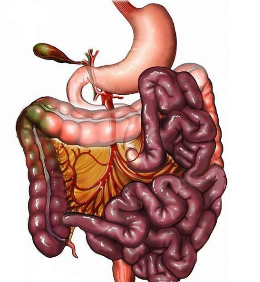 腸息肉者，排便出現(xiàn)3個(gè)異常，十有八九息肉已變成“癌”